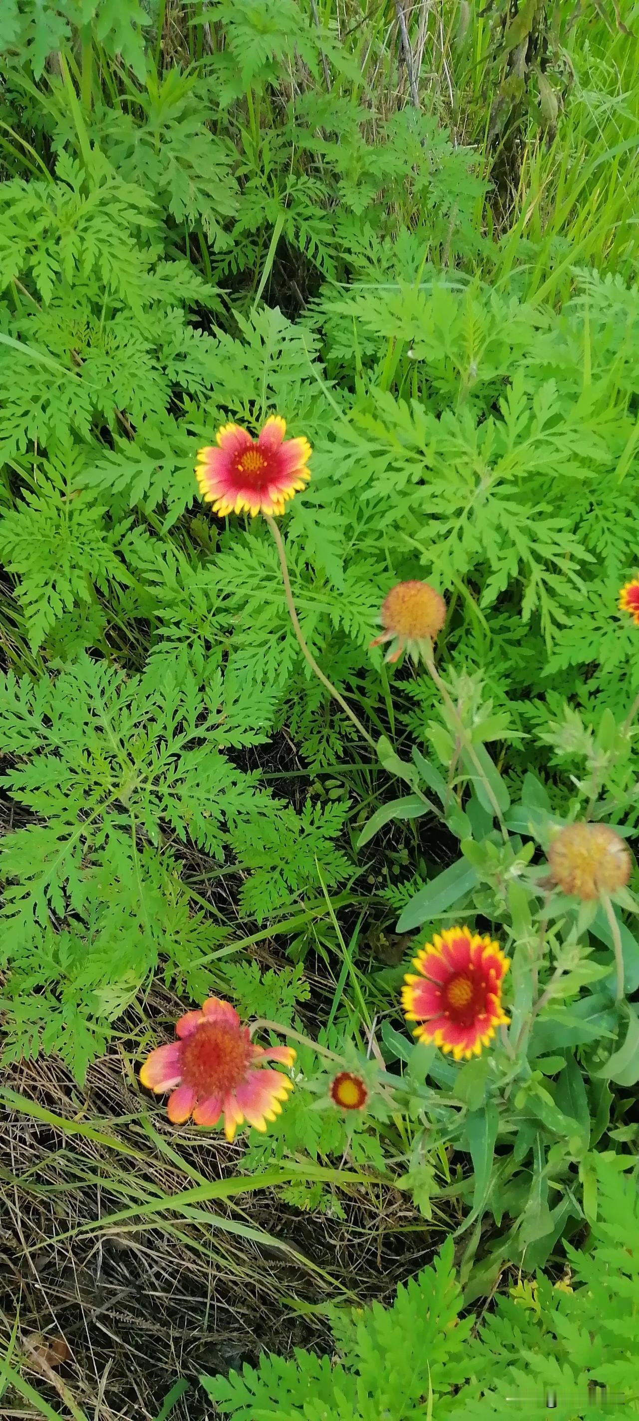 绝经后，性生活依然活力无限！绝经了也不影响夫妻生活！放心吧！别被误导了，其实绝经