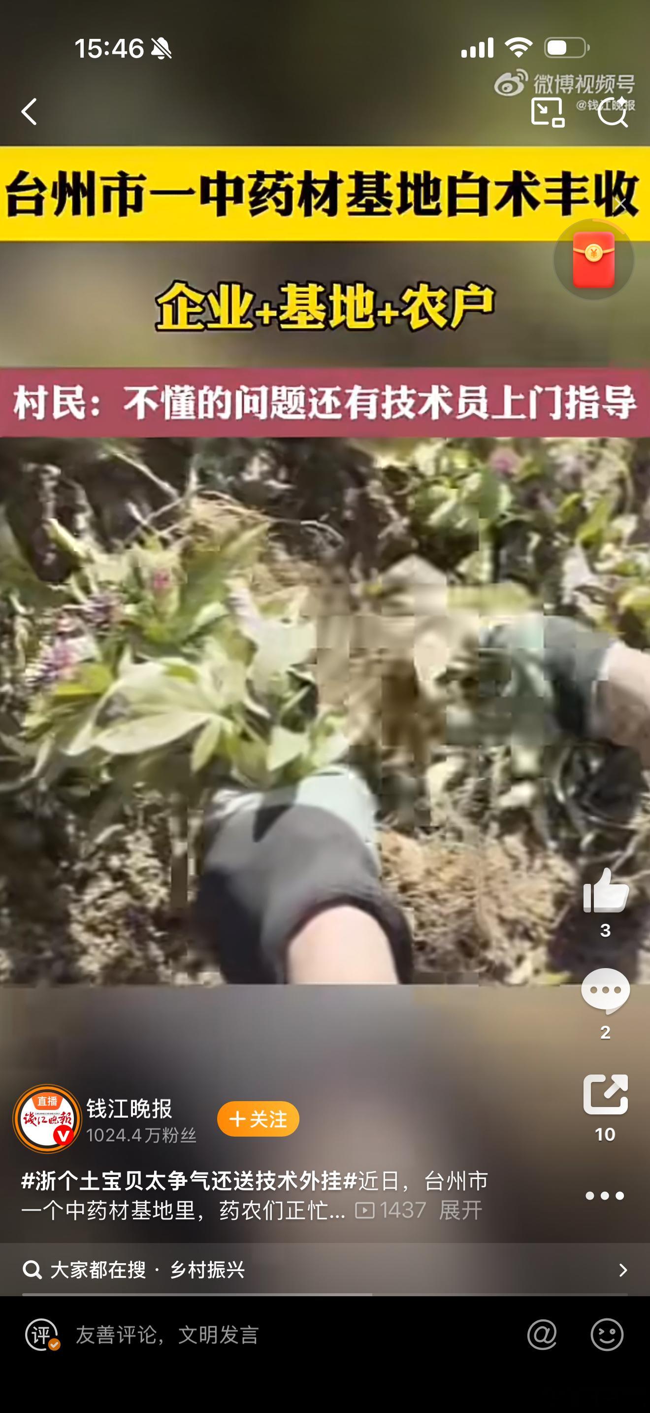 台州中药材基地喜收白术，首次种植便亩均纯利超5000元！仙居以“企业+基地+农户