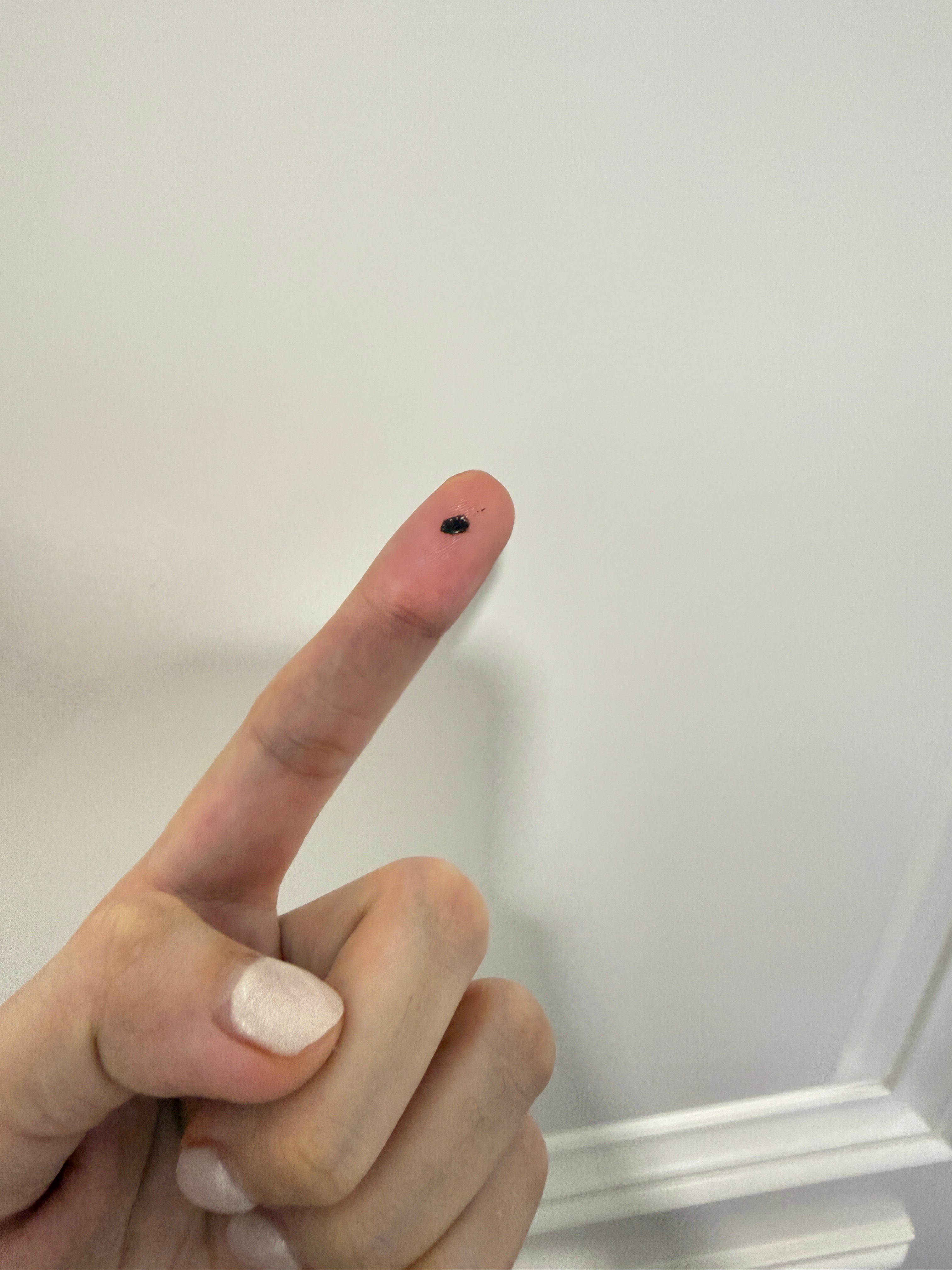 很无语，怎么会有这样的父母早上球宝团团转寻找自己的小老板海苔问压压，是你藏起来的