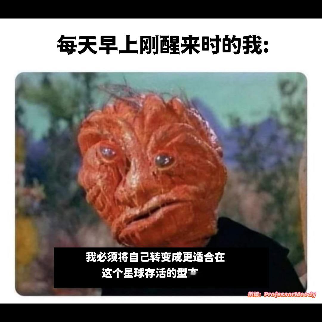 this is me:#meme# / #笑料江湖争霸赛# ​​​