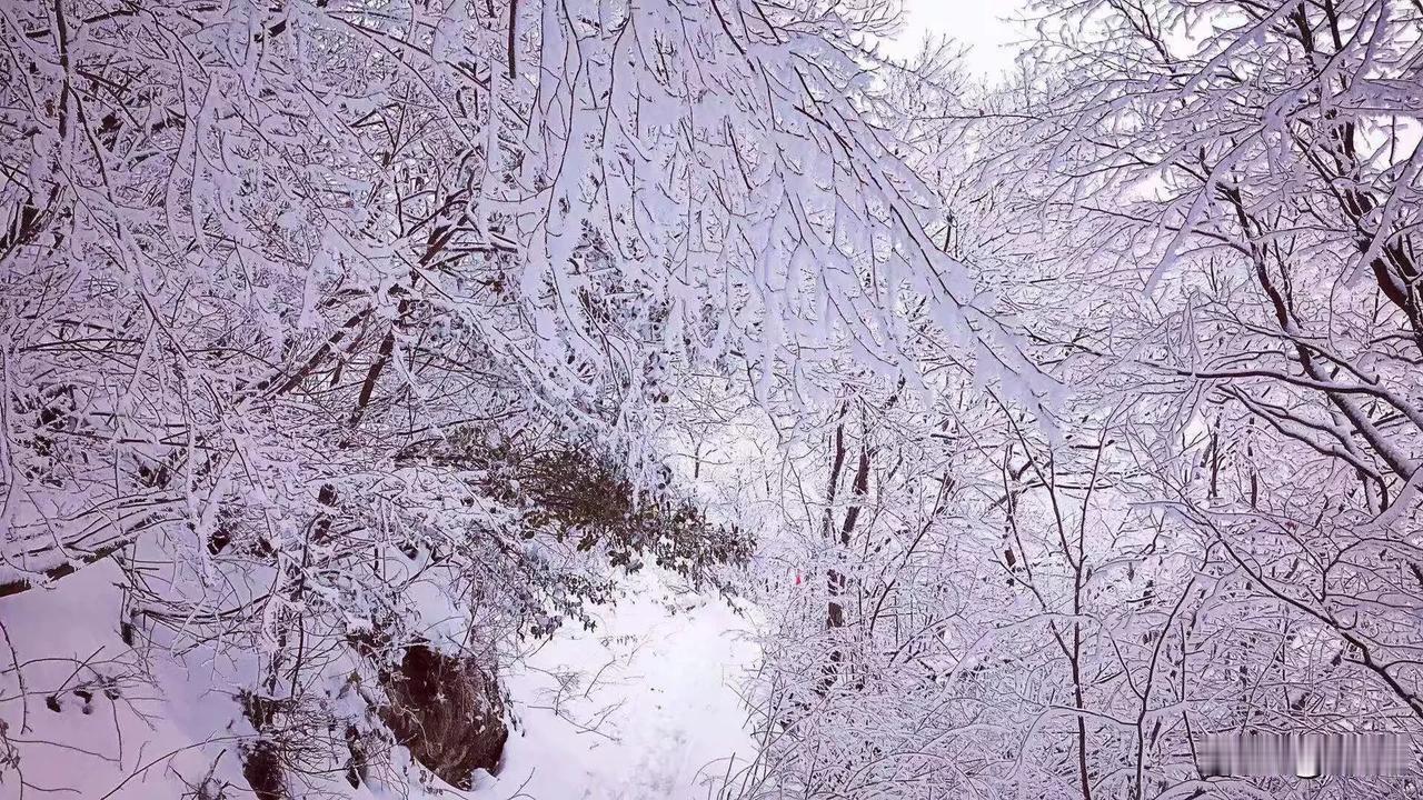 【七绝•莫问初冬是否寒】
莫问初冬是否寒，空山扣杖自心闲。
忽闻寺庙钟声响，震落