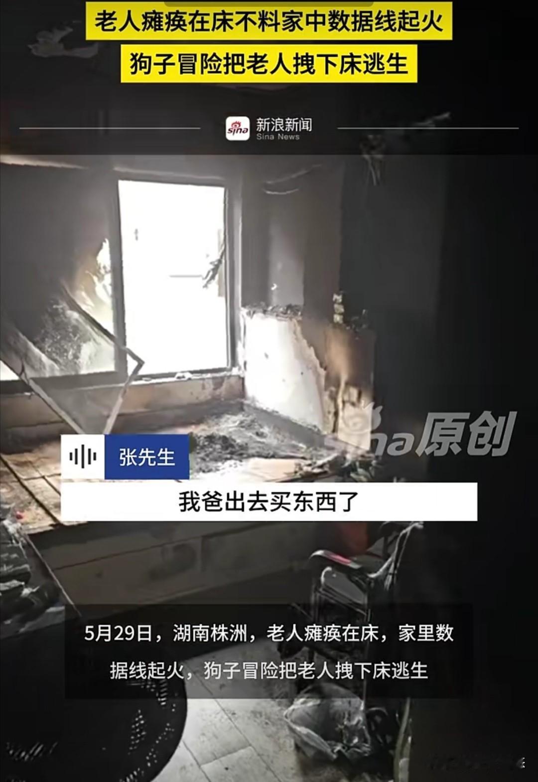 5月29日，湖南株洲发生一起宠物犬救主事件。

一位瘫痪老人独自在家，家中数据线