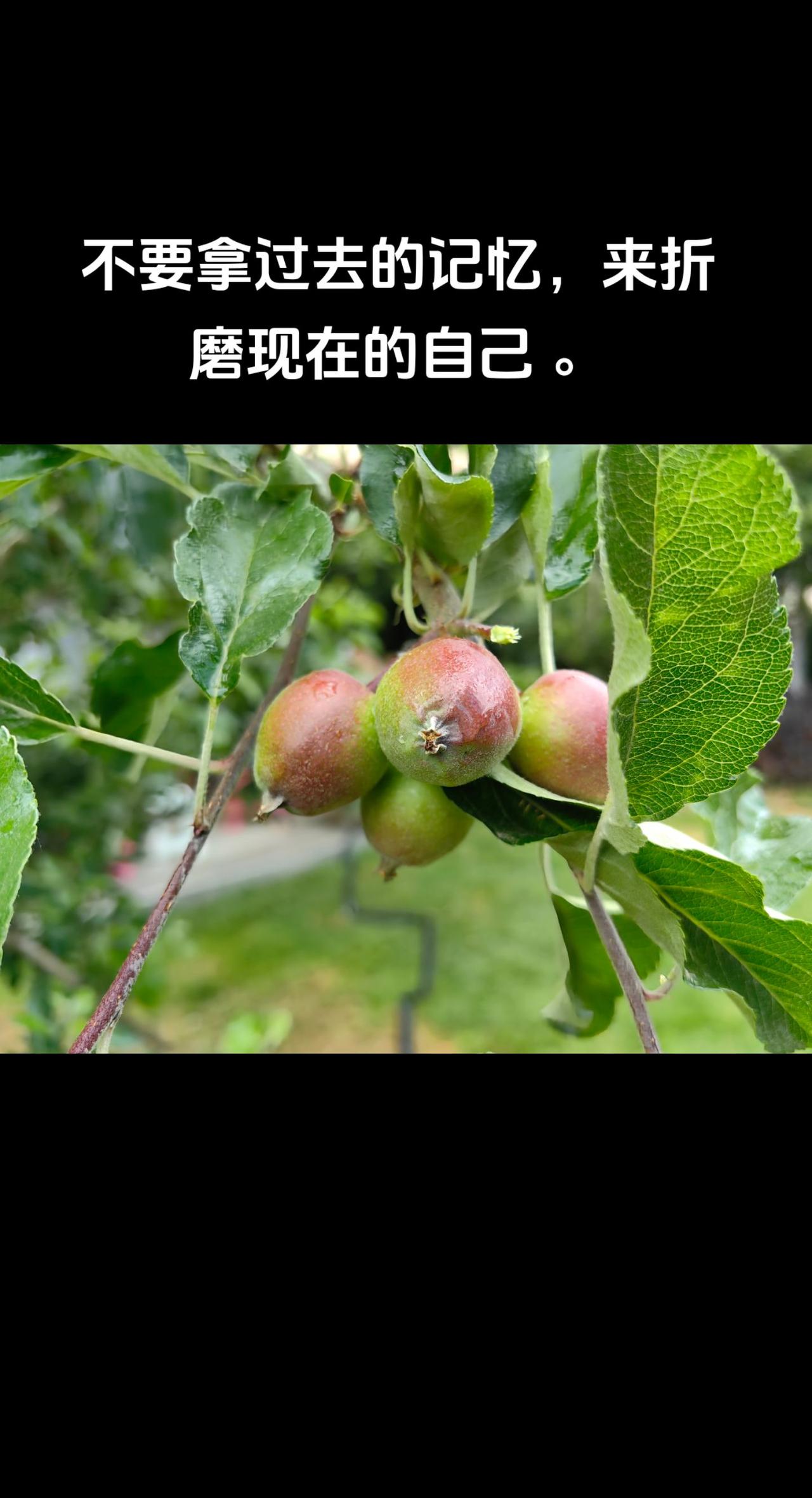 不要拿过去的记忆，来折磨现在的自己 。
