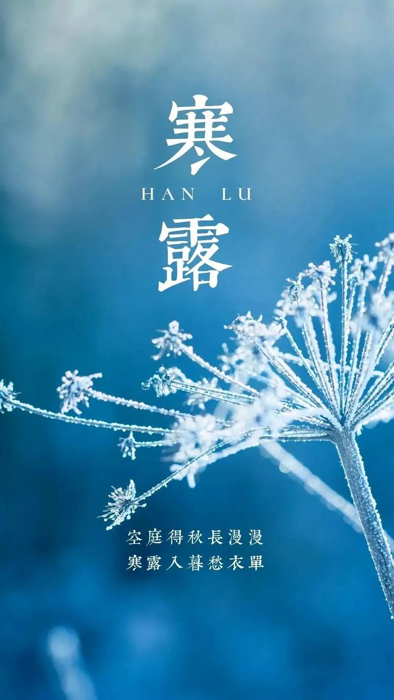 临江仙•寒露
寒露，是农历二十四节气中的第十七个节气，秋季的第五个节气。有道是：
