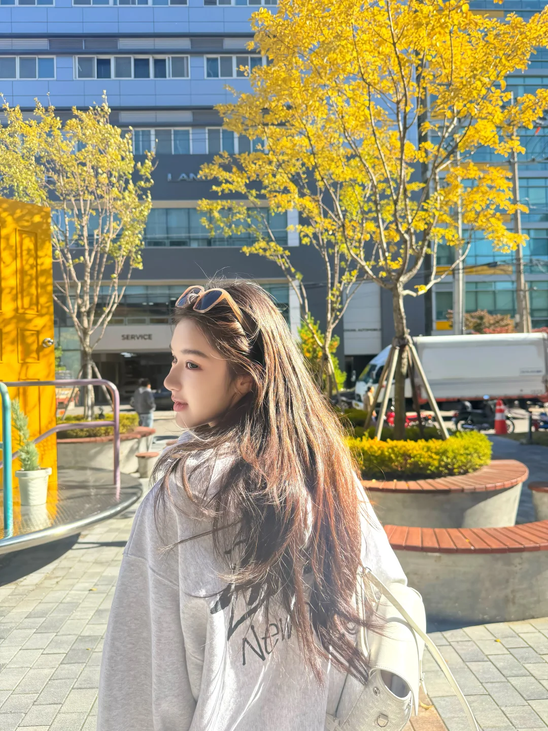 🍂