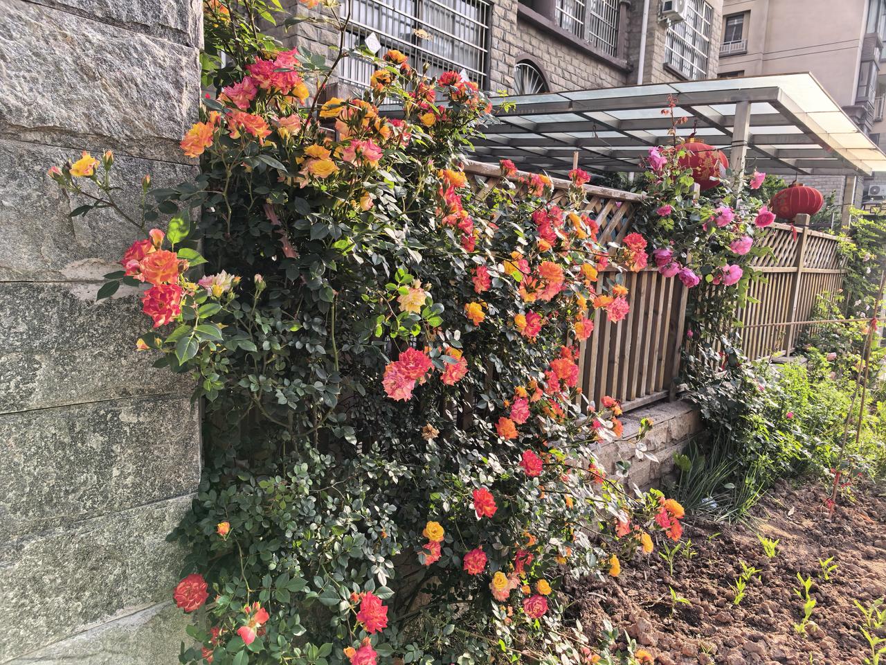 我宁愿把天津赖老师的那番话，理解成熟人的抱怨。
毋庸讳言，赖老师也是有情绪的，她