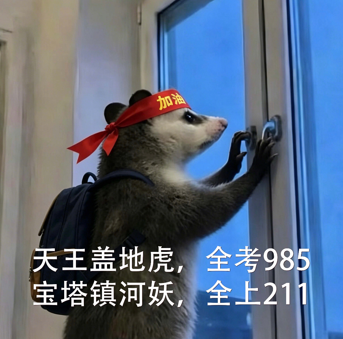 明天起高考成绩陆续公布北京气候不错，空气也越来越好了，好吃的也多，咱们报了清华北