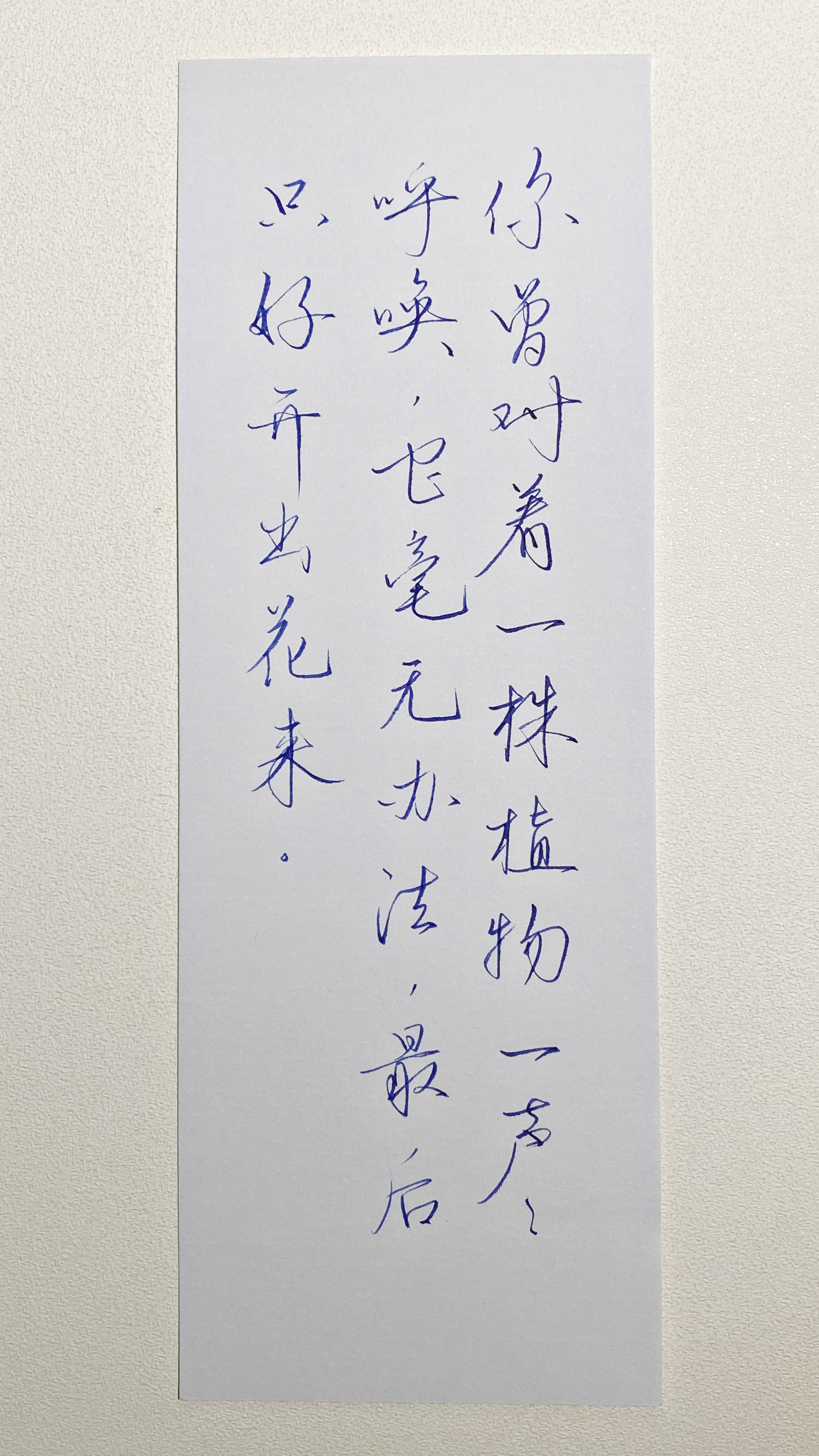 今日作业（2026.10.3）你曾对着一株植物一声声呼唤，它毫无办法，最后只好开