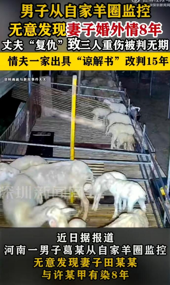 近日据报道，河南一男子葛某从自家羊圈监控，无意发现妻子田某某与许某甲有染8年。