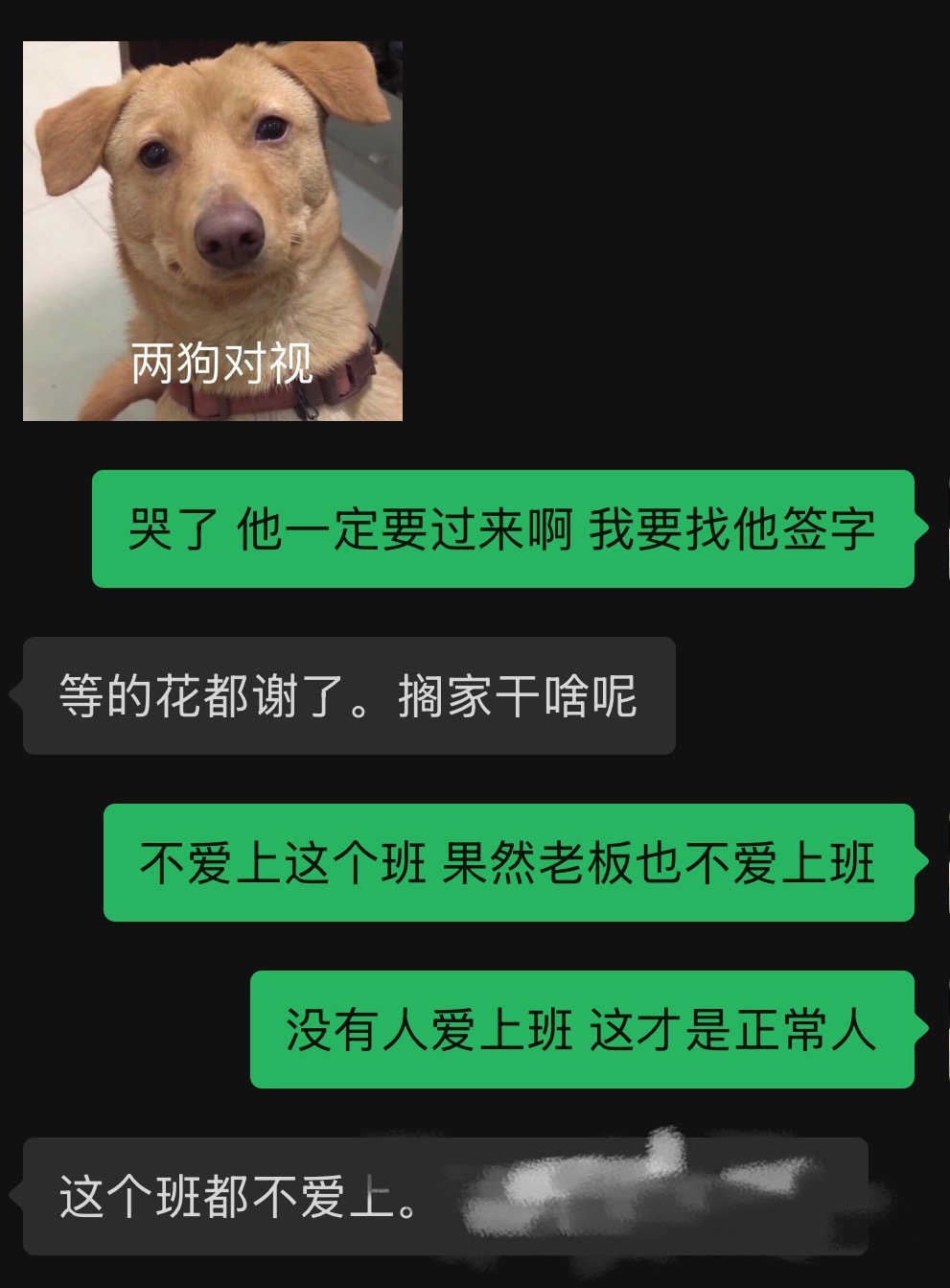 猪八戒只是不想上班到底谁爱上班[裂开] ​​​