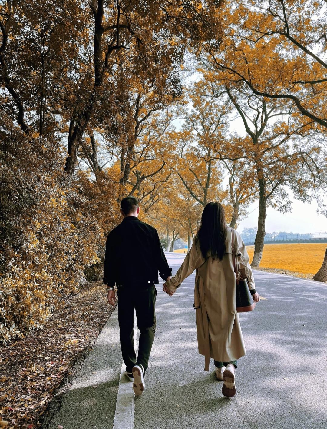 爱情的本质是什么?
《美国往事》里面有句话:
交往的本质不是表面的去旅游，而是互