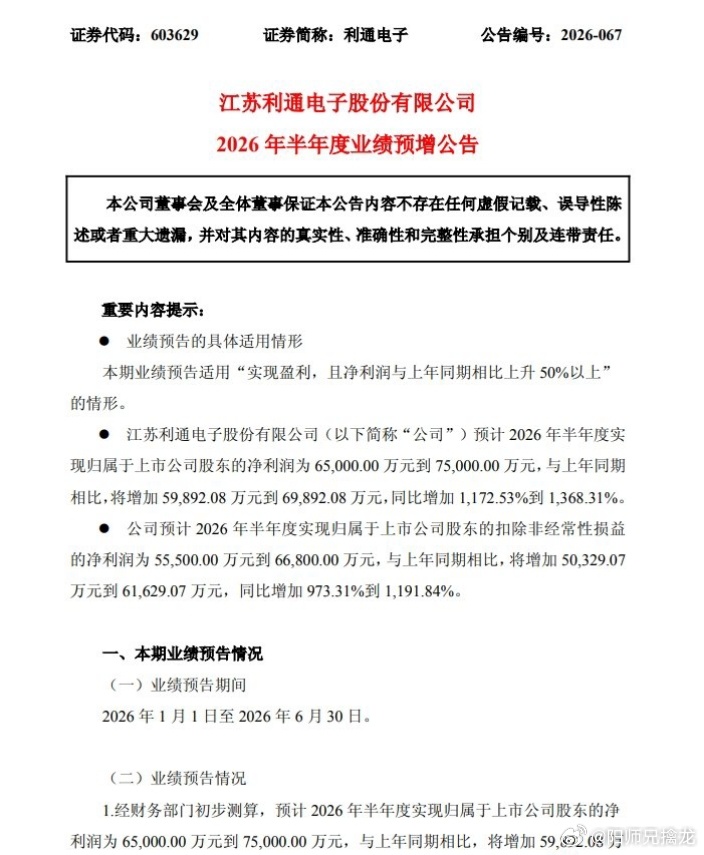 【利通电子：上半年净利预增11.7倍到13.7倍 算力业务收入持续增长】利通电子