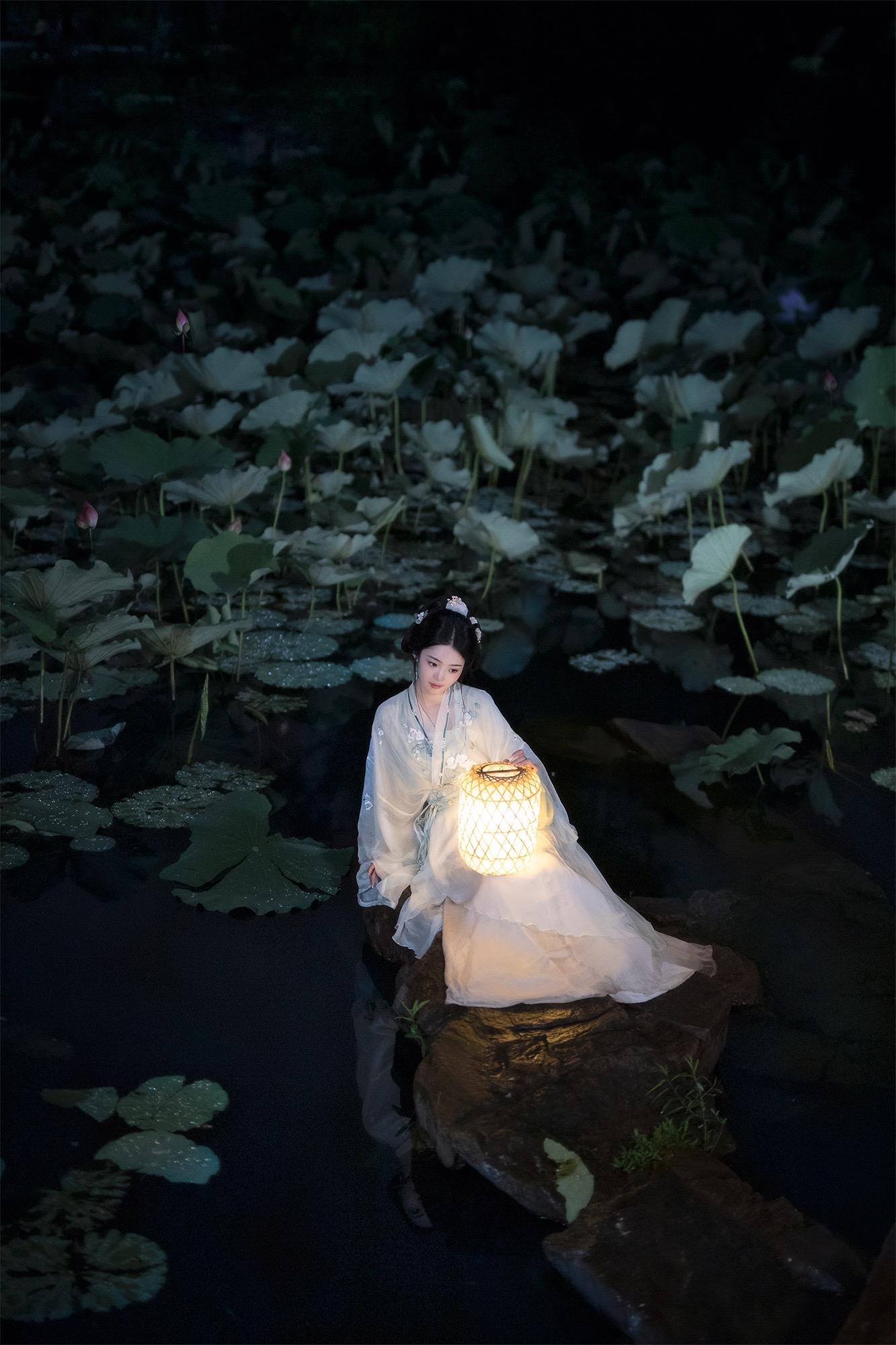 又是一年荷塘夜色～