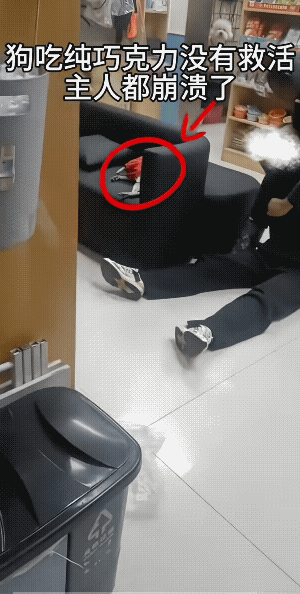 不是一般般的感情了！
这是真的巧克力。看来人也要少吃或不吃这东西。
故事图画书里