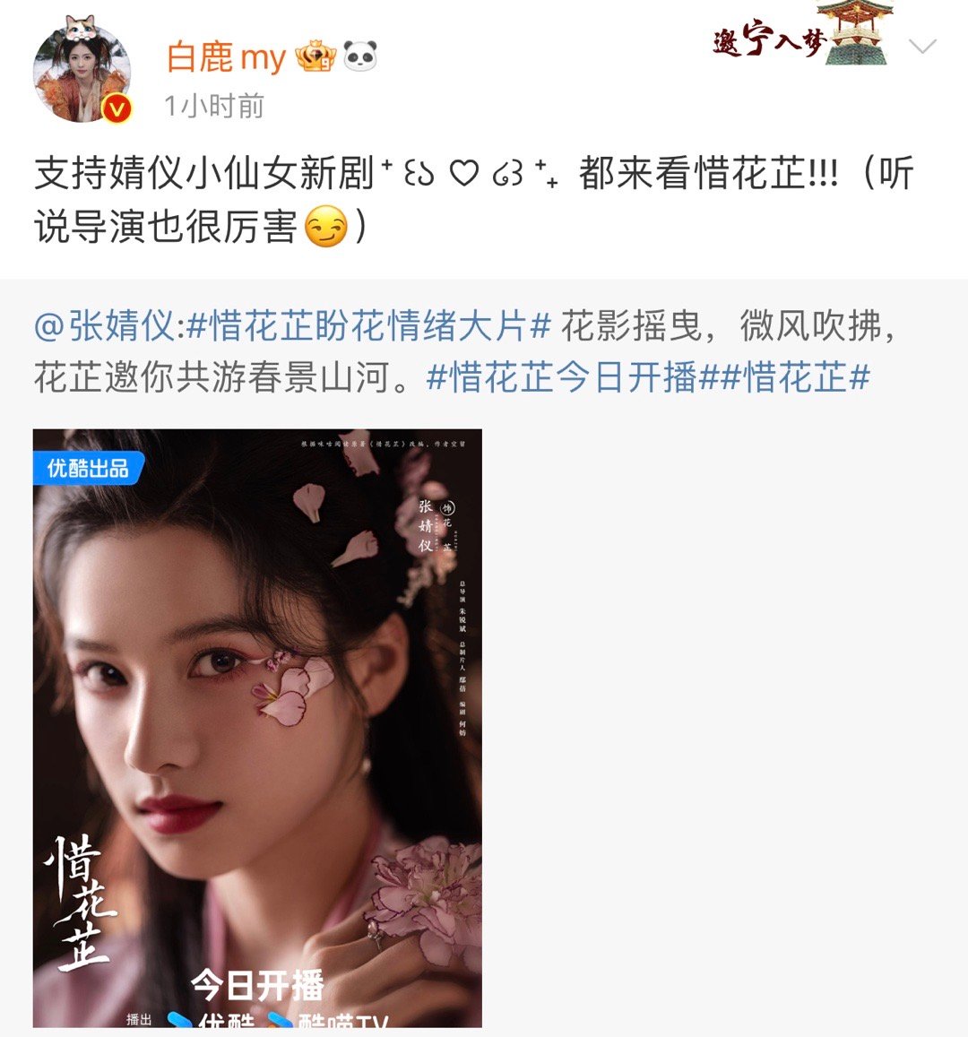 #张婧仪白鹿受害者联盟#白鹿张婧仪受害者联盟狠狠的共情了，朱导和运镜一般人真扛不