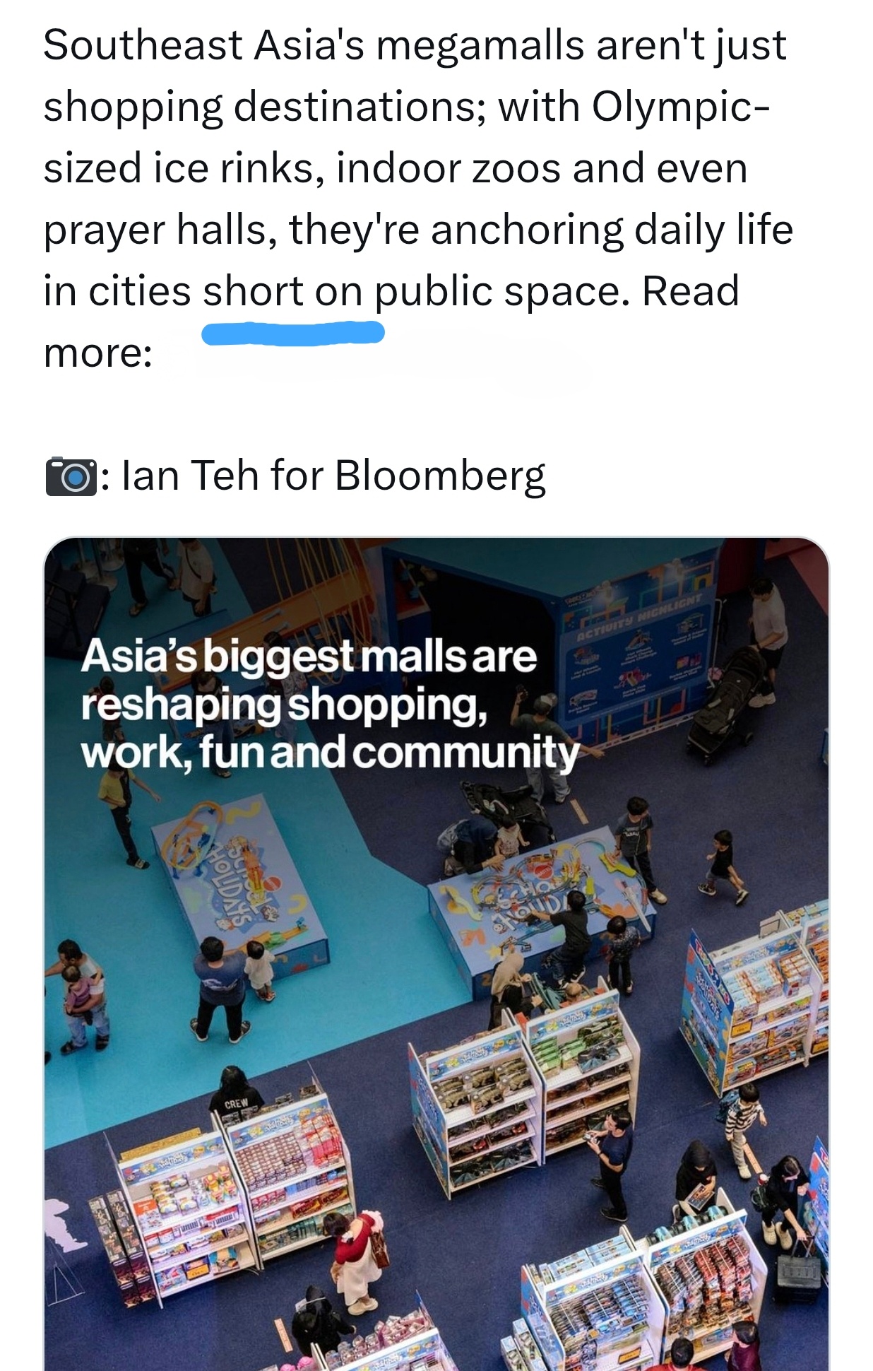 🤔 留意此处“they're anchoring daily life in 