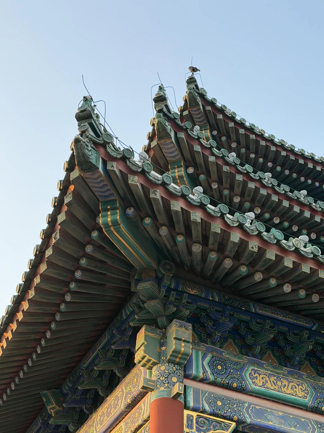 这么多年禁烟真是一点进步都没有
到处都是游烟，出租车网约车等车路口都是被烟味浸泡