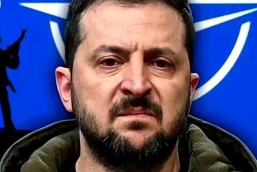 泽连斯基太“精明”了，直接扔出了一个令美俄都目瞪口呆的王炸！他说，这仗打到最后，