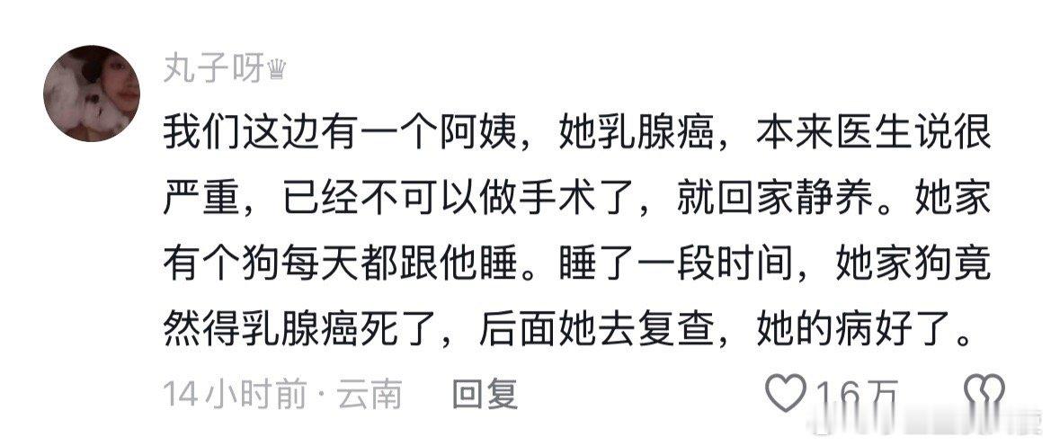 科学无法解释的事情,不如就交给爱吧 