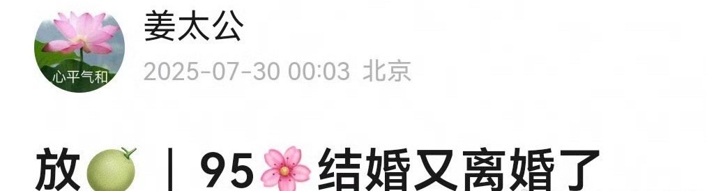 🍉95🌸结婚又离婚 ​​​