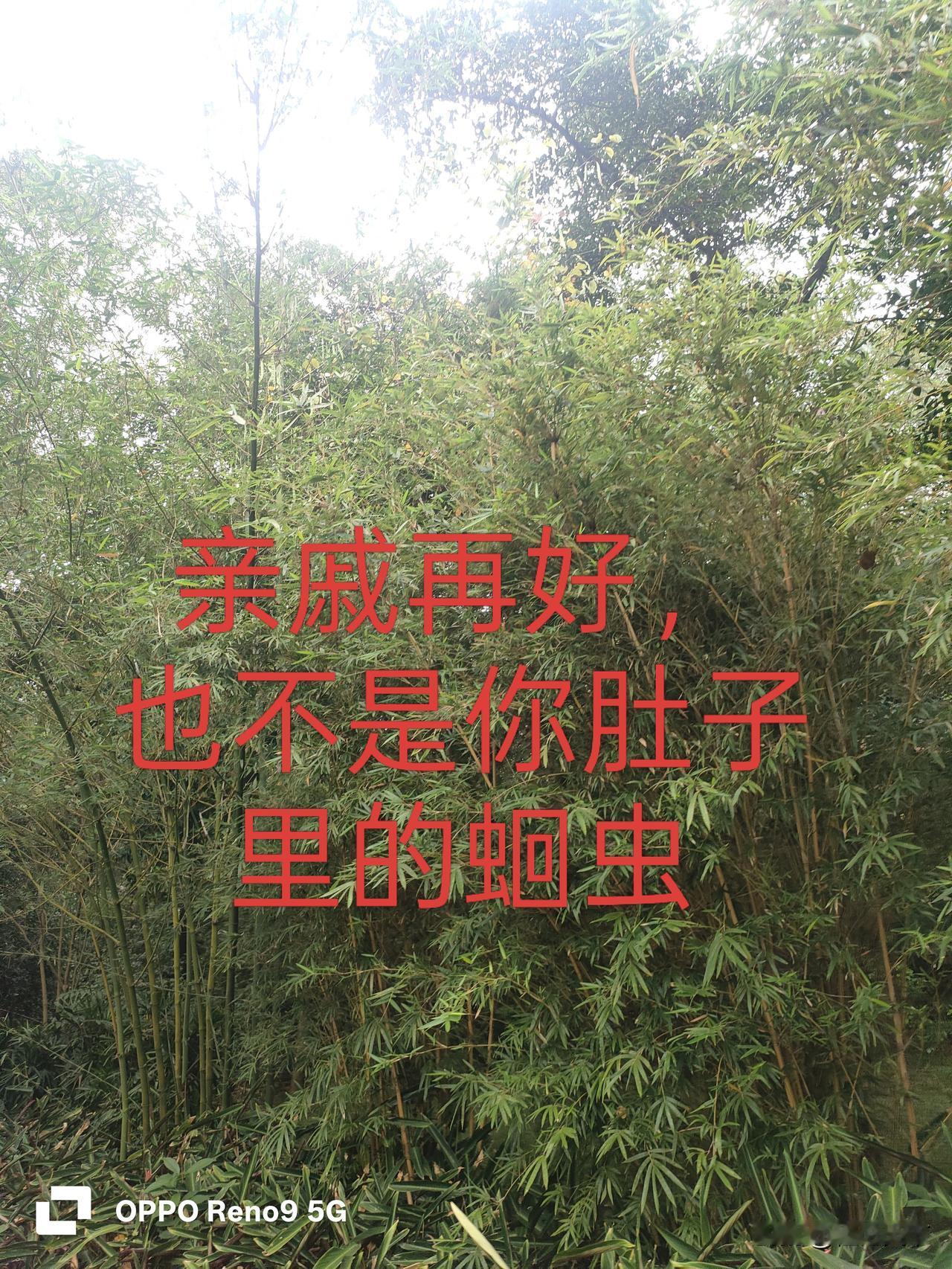 老了才懂：亲戚再亲，也别啥都往外掏

老程说句大实话。

有些人老了，闲得慌，见