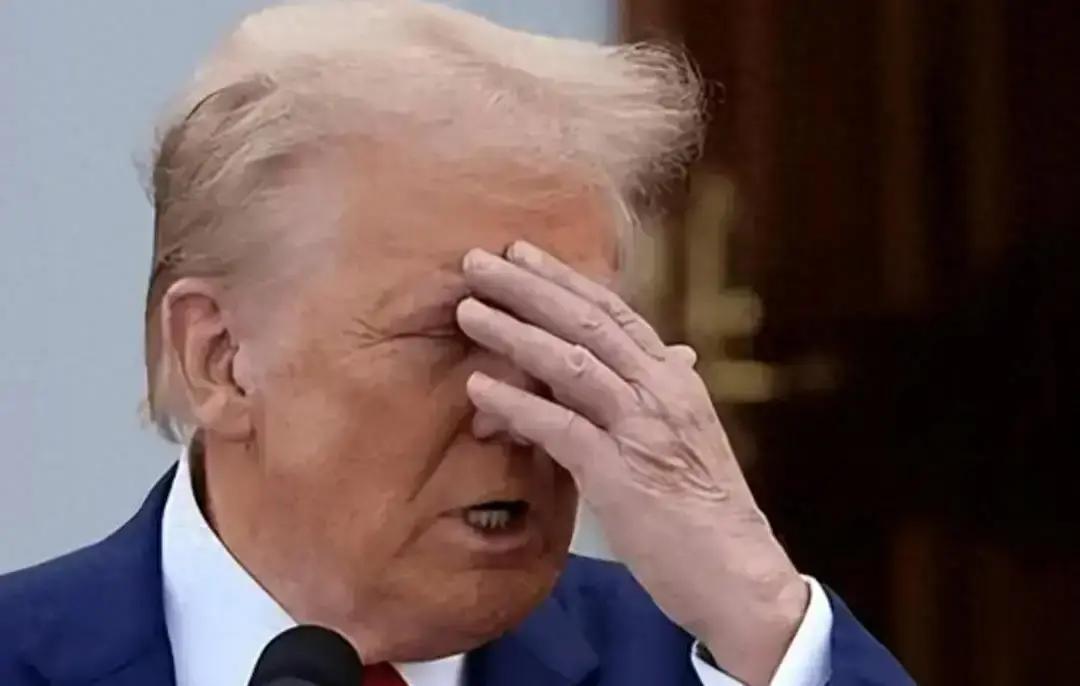 出手了！中俄表态！
 
先把这回合的脉络捋清：日本政坛某些人在台湾话题上抬了嗓门