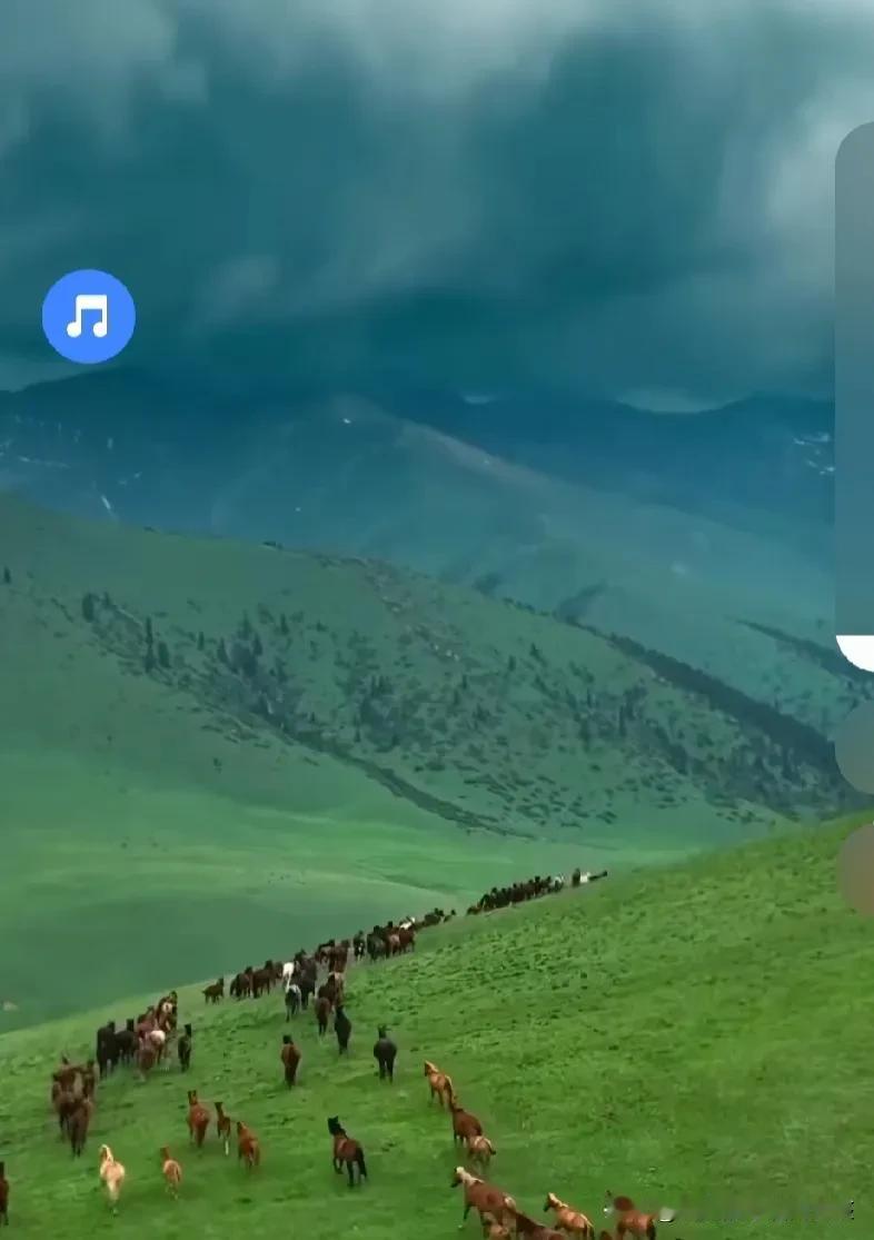 人群太吵，我想去听旷野的风。
太美了。这么让人流连忘返！