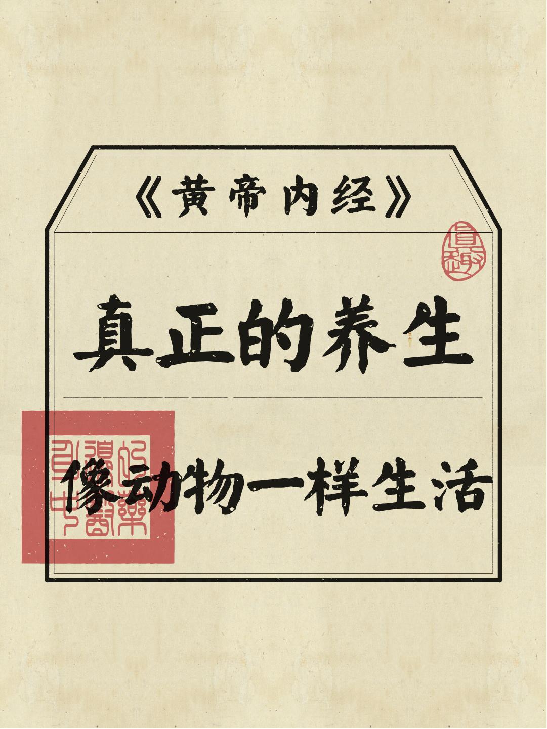 周末的时候，放下工作，学着像动物一样去生活吧！