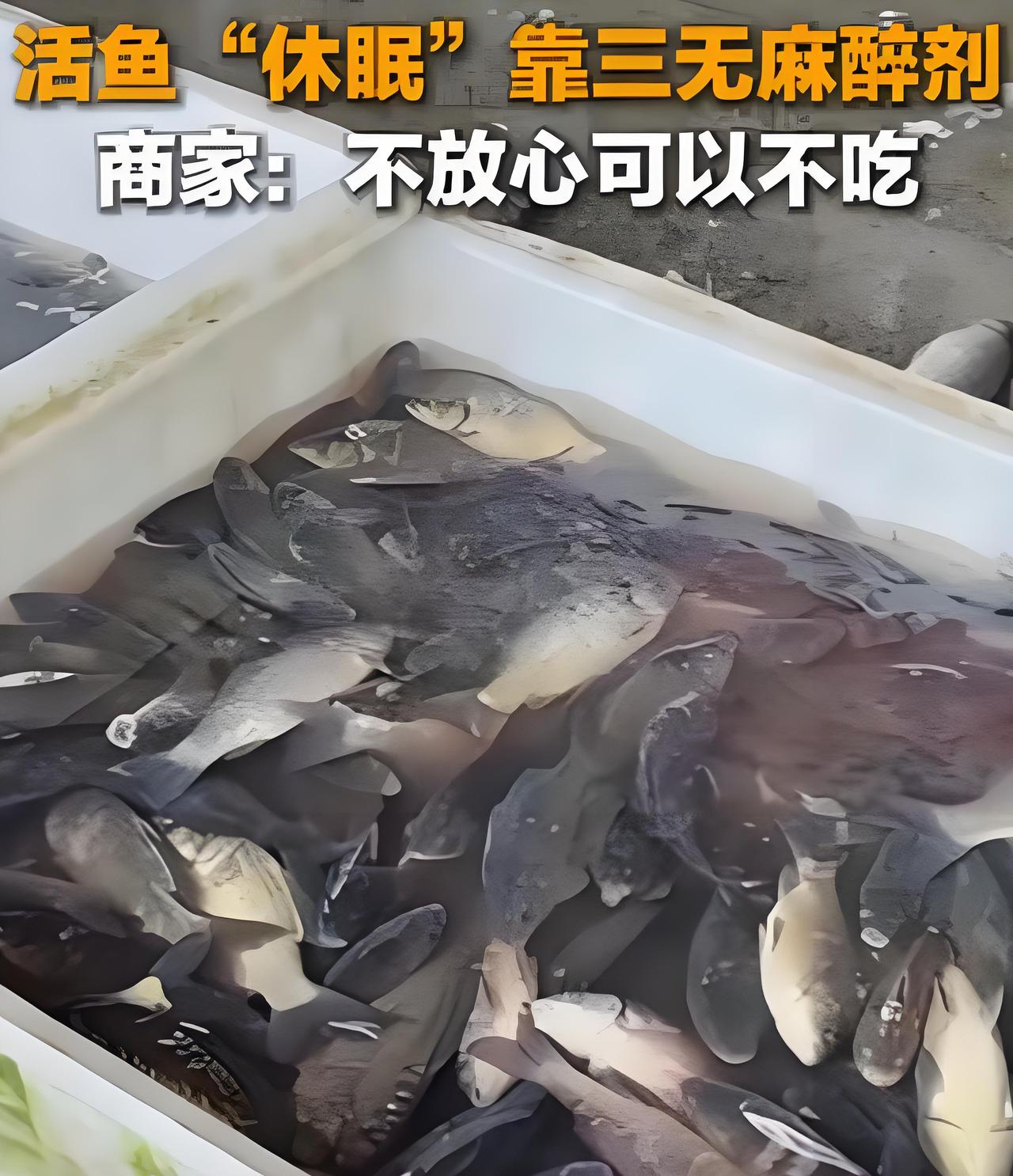 太恶心了，央媒曝光活鱼内幕！

3月23日，据央媒报道，中国多地水产市场为方便运