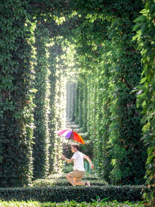 当我用绿野仙踪的方式，打开充满浪漫的盛夏～