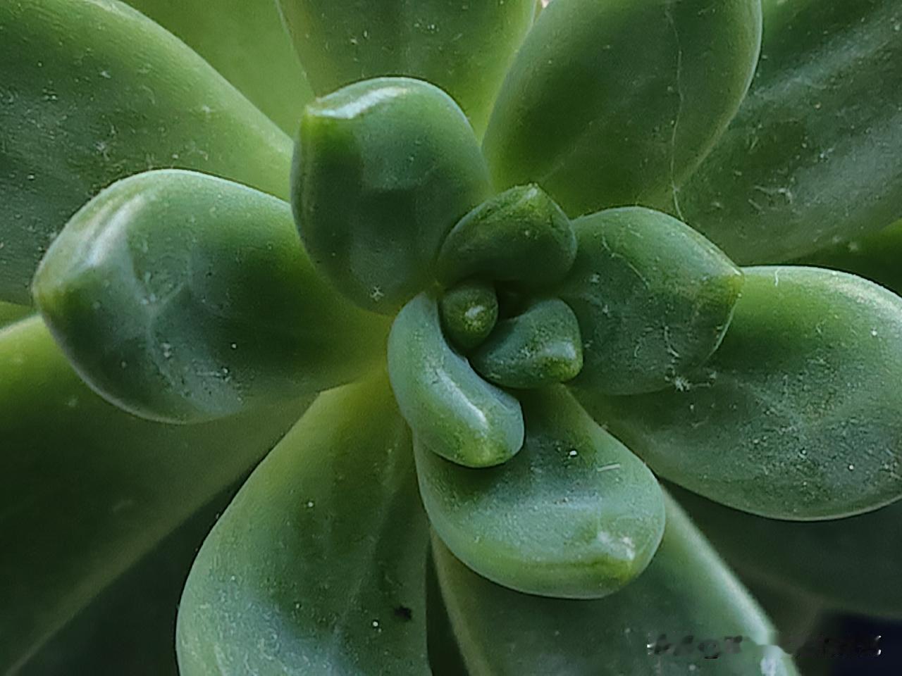 又是崭新的一天
一天好心情
心情好一天
天天好心情