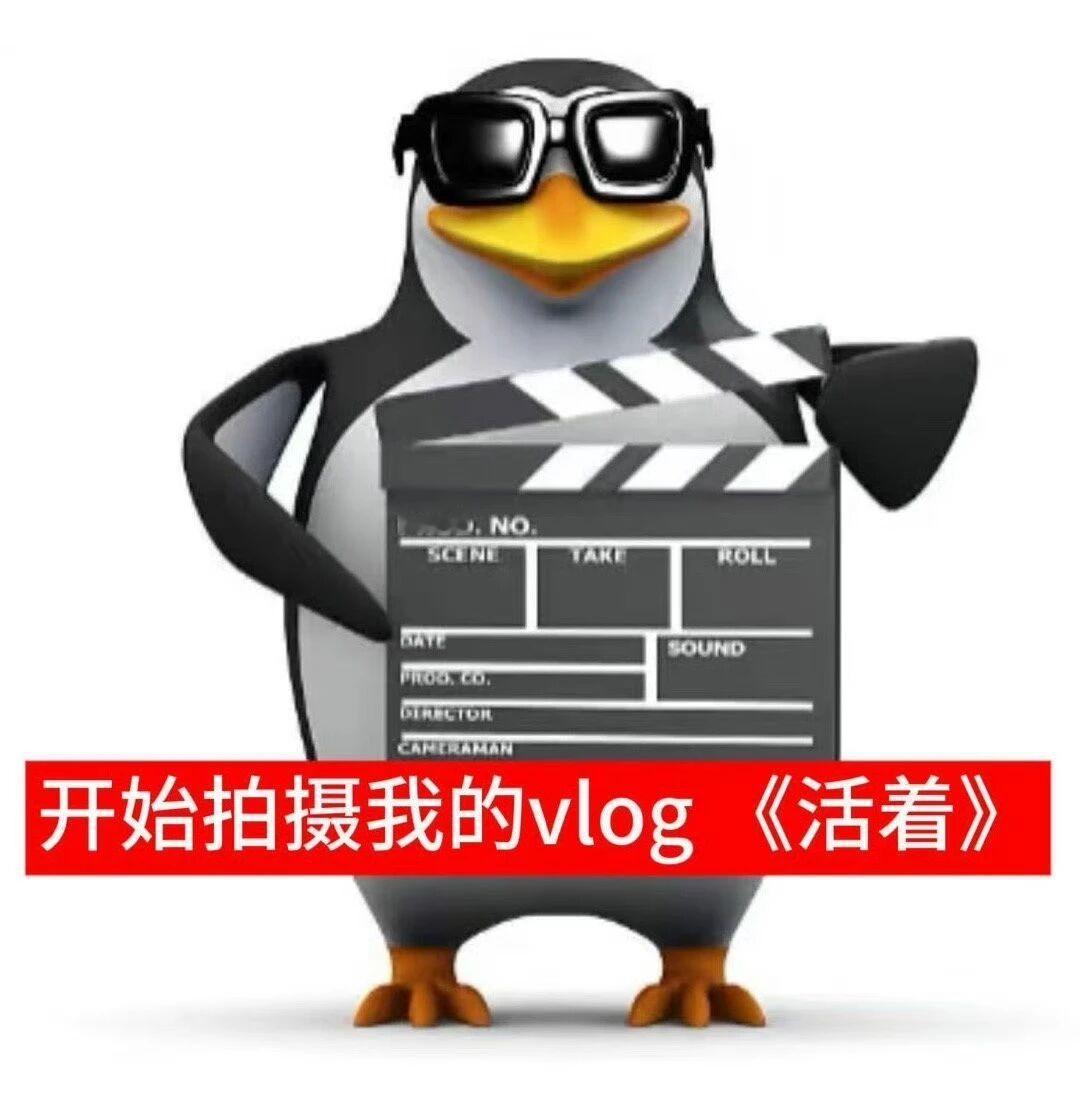 稀有表情｜打工企鹅 