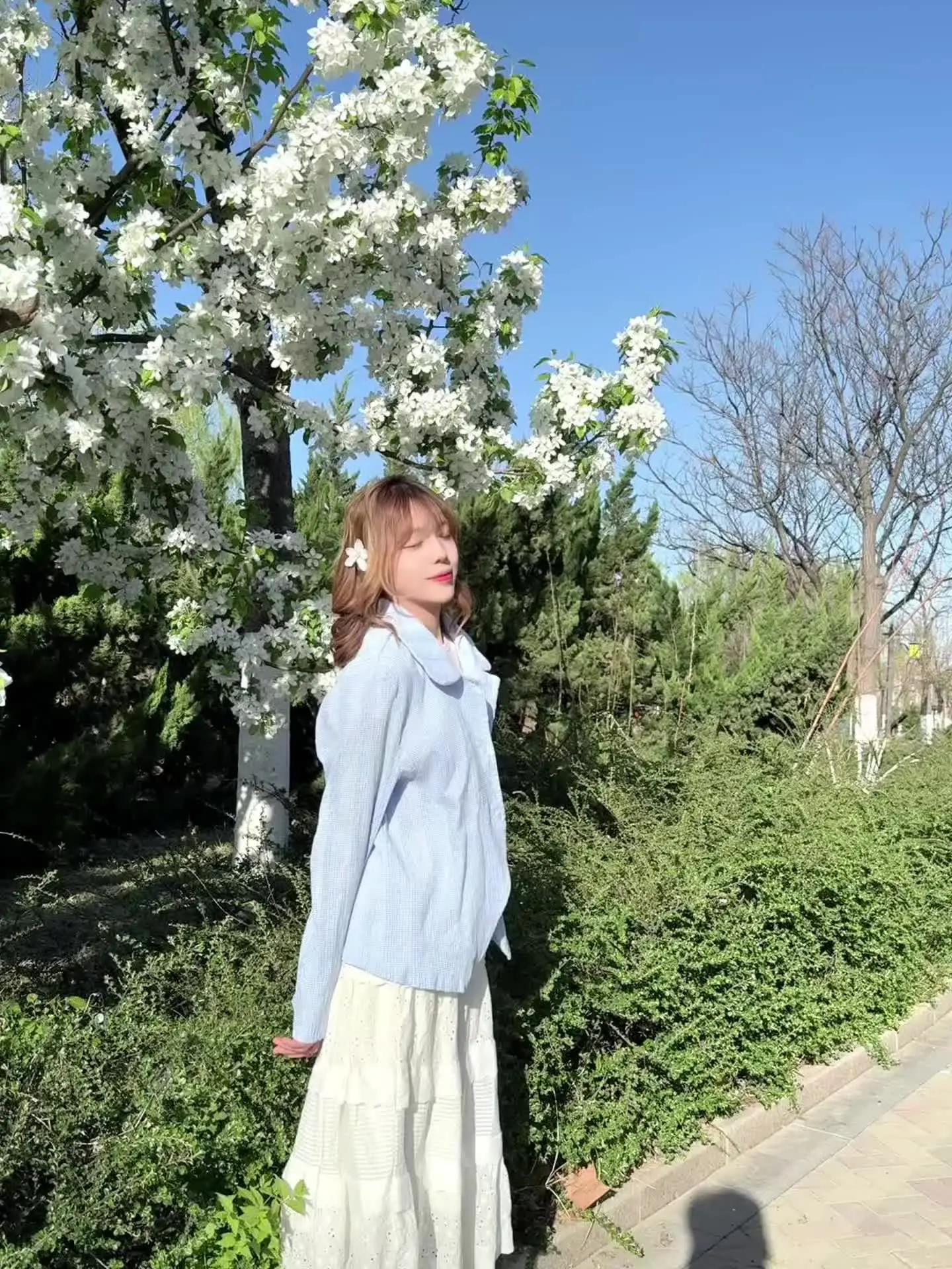 空气像青苹果🍏