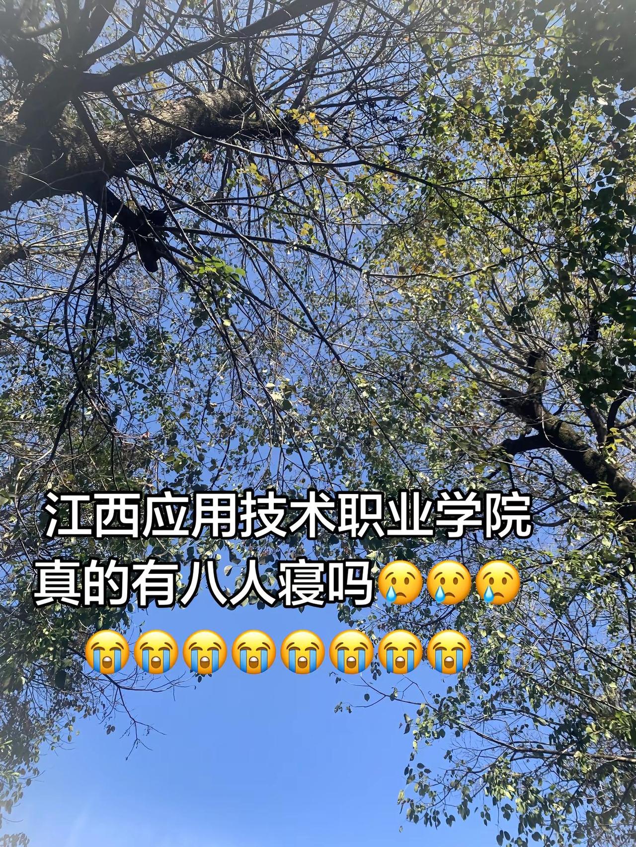 有没有同校的说一下是真的假的？江西应用技术职业学院宿舍生活 八人寝