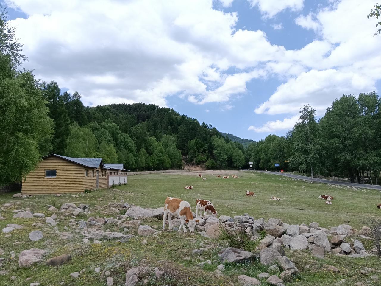 清晨六点刚过，便被朋友的电话吵醒：“今天有空不，咱们找个地方出去转转？”“哪能这