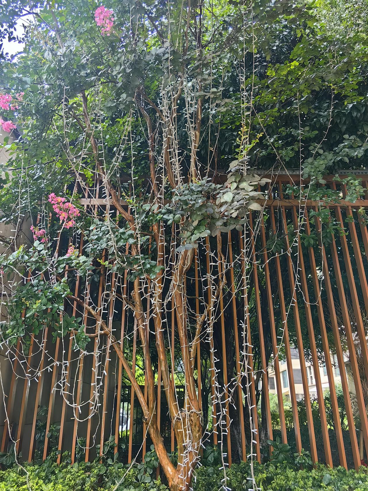 而发生电气火灾的部位既可能是配电箱，也可能是输电线的某一段，或者是插头插座，也有