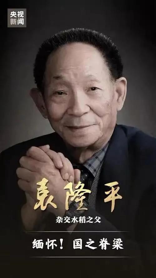 5年前的今天，袁隆平带着追求梦的“种子”去了远方，巨星陨落，举国悲痛。袁老为了人