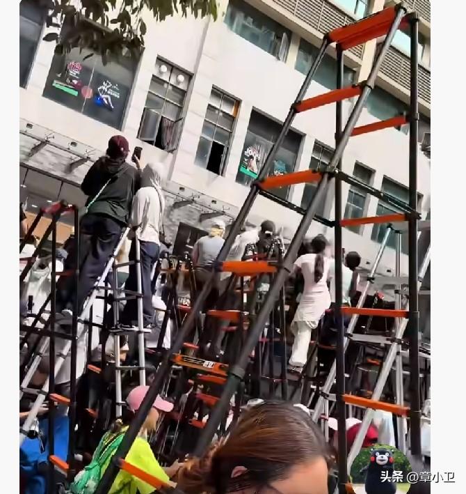 疯狂追星的粉丝！
五金店几年没卖完的梯子，今天直接卖脱销了