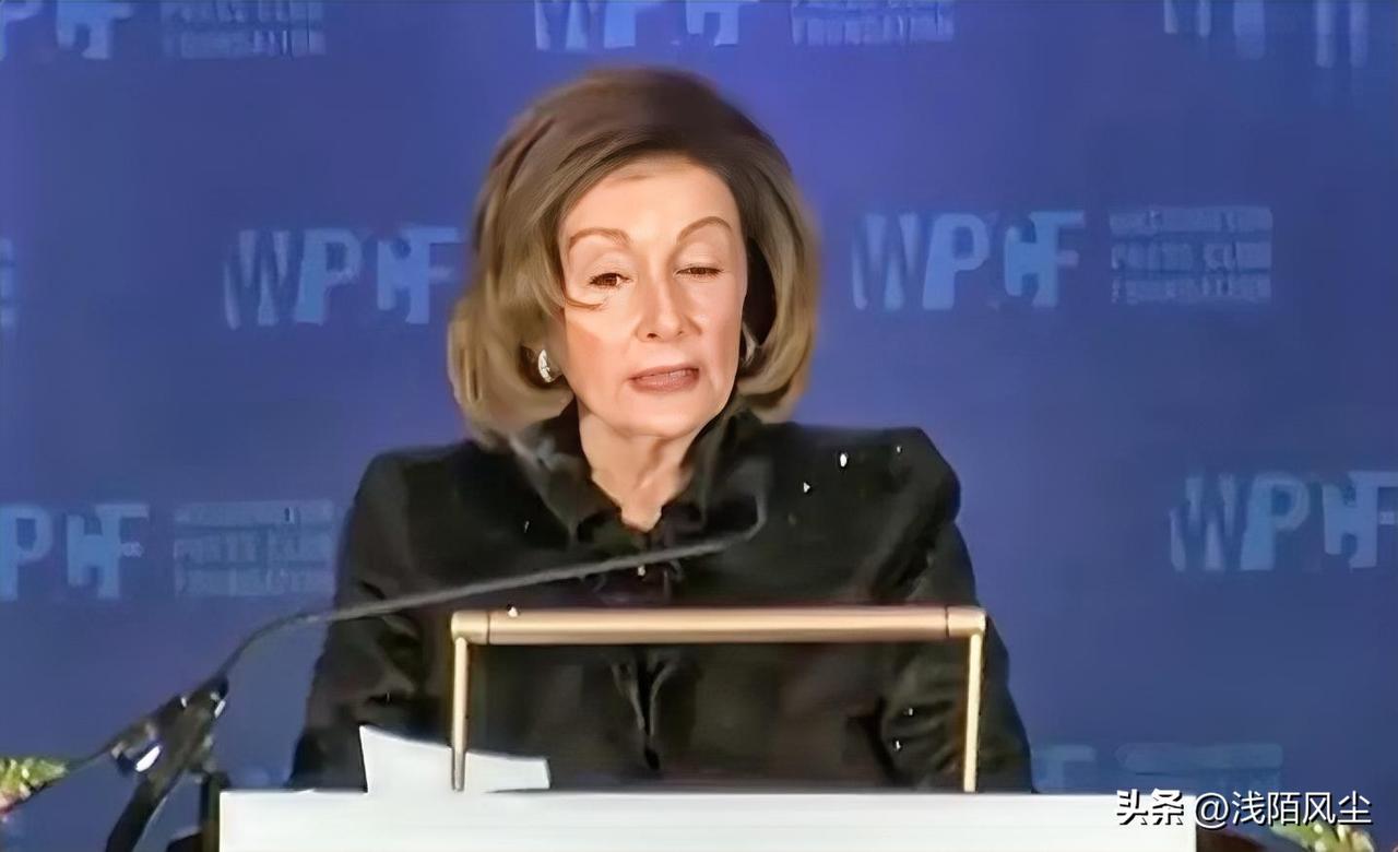 佩洛西在华盛顿新闻俱乐部基金会晚宴上讲话，把白宫、国会、最高法院都批评了一顿。