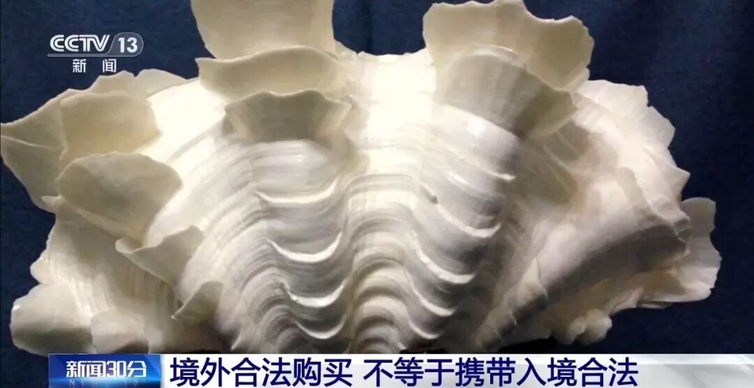 夫妻携242枚商周至民国时期钱币出国，想送给国外定居子女，被海关查扣：经国家文物局鉴定，属于国家禁止