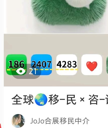 全球移民国家项目 提供免费咨询服务，帮你解决99%出国难题！