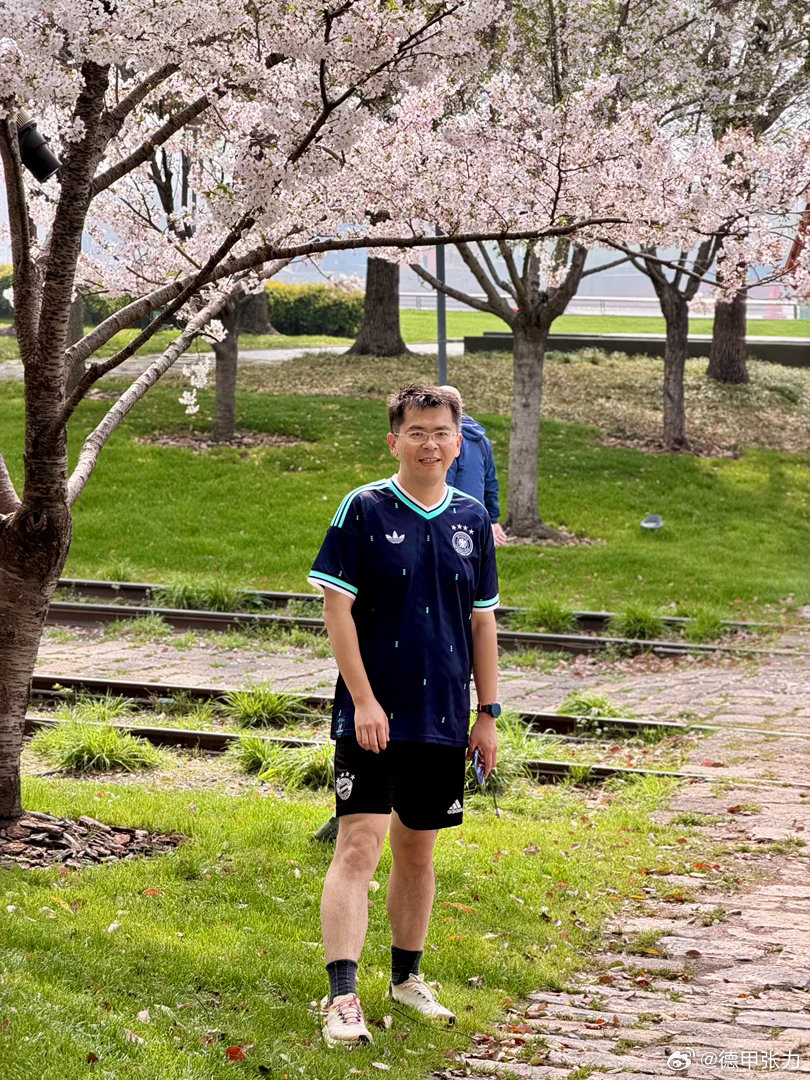 别说，这件德国队客场拍樱花还挺搭
