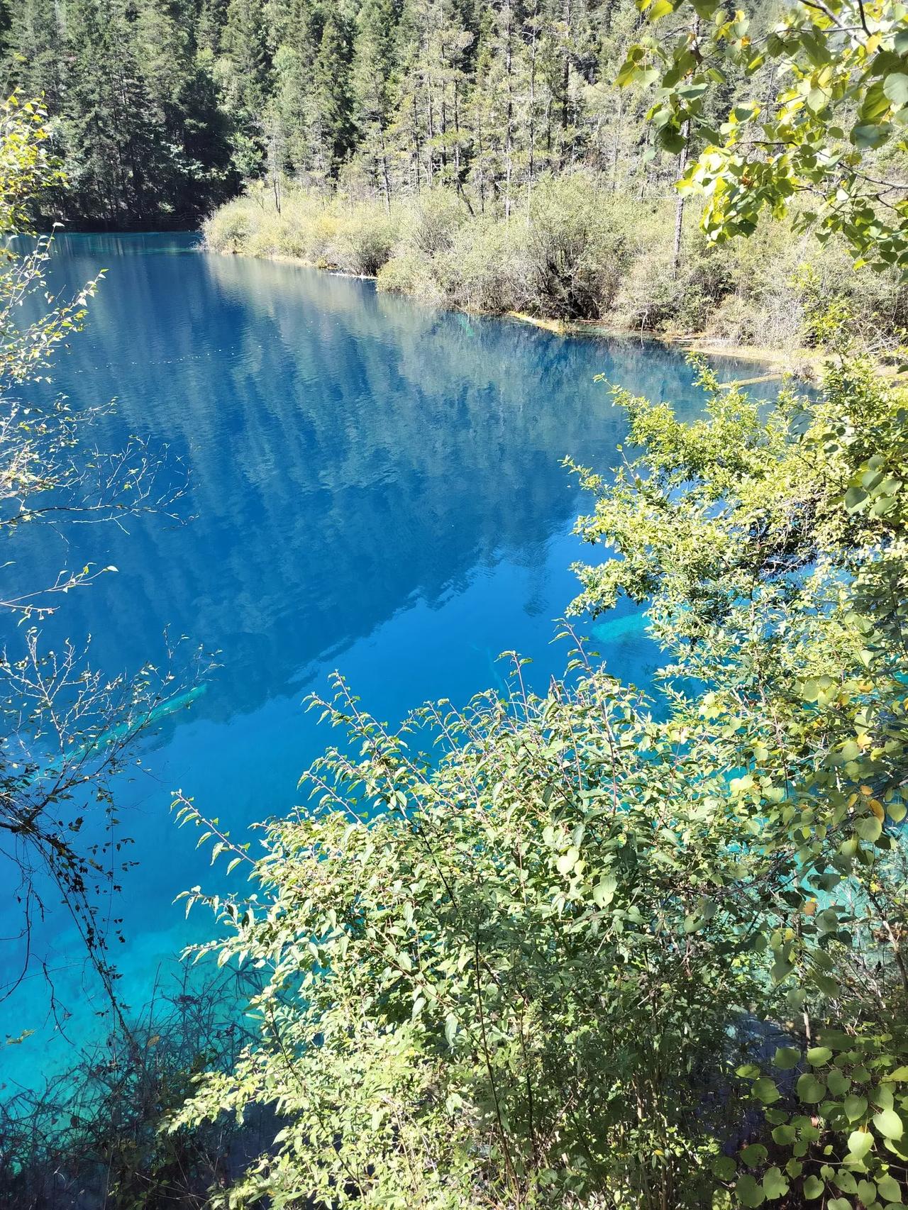 记录我的2026生活艰难