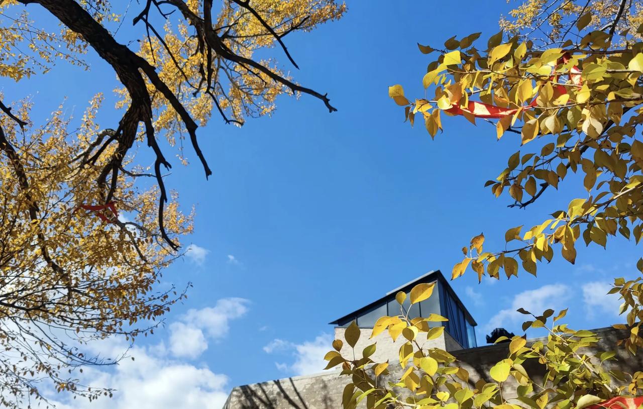西乌素图村的秋天，村庄背靠大青山，房舍高低错落，杏树漫山遍野。
西乌素图村以其独