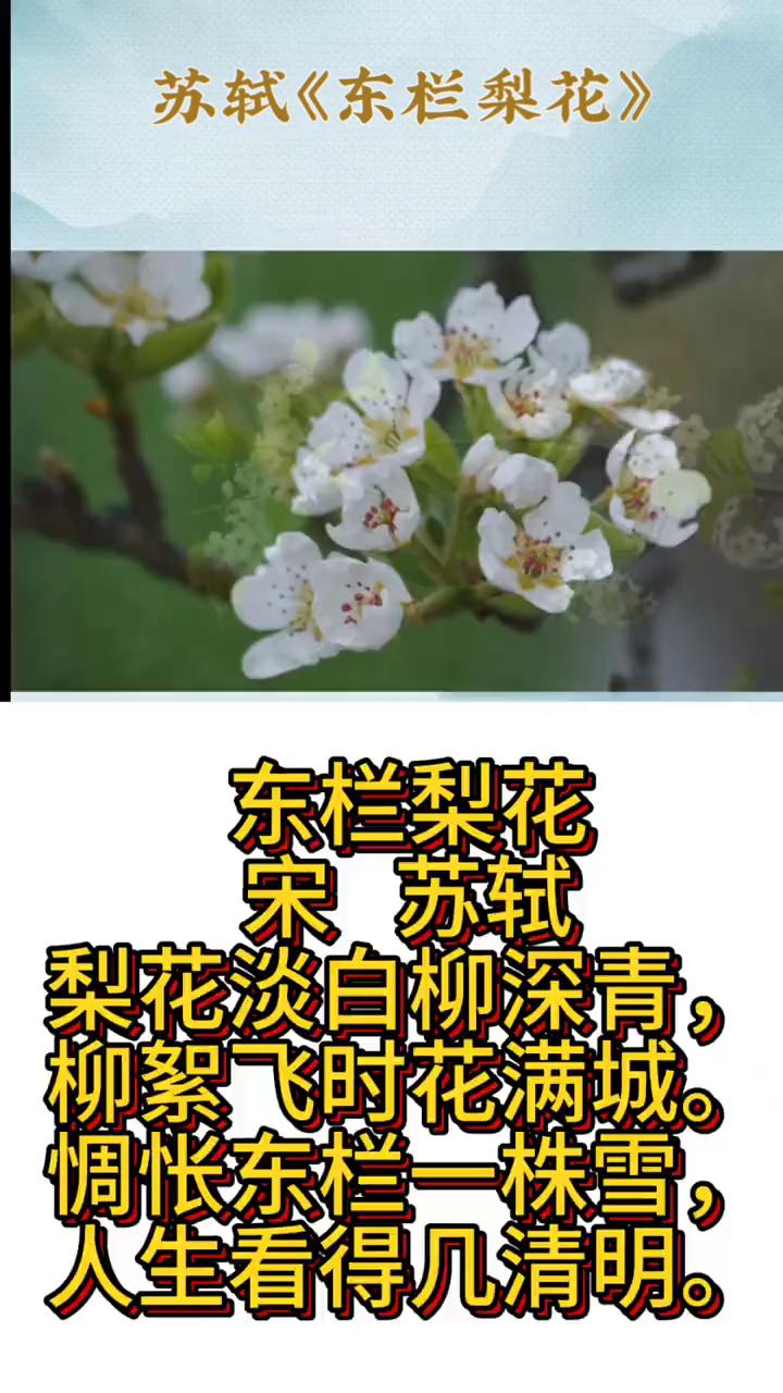 苏轼《东栏梨花》。
东栏梨花是宋代文学家苏轼创作的一首七言绝句。
东栏梨花，梨花