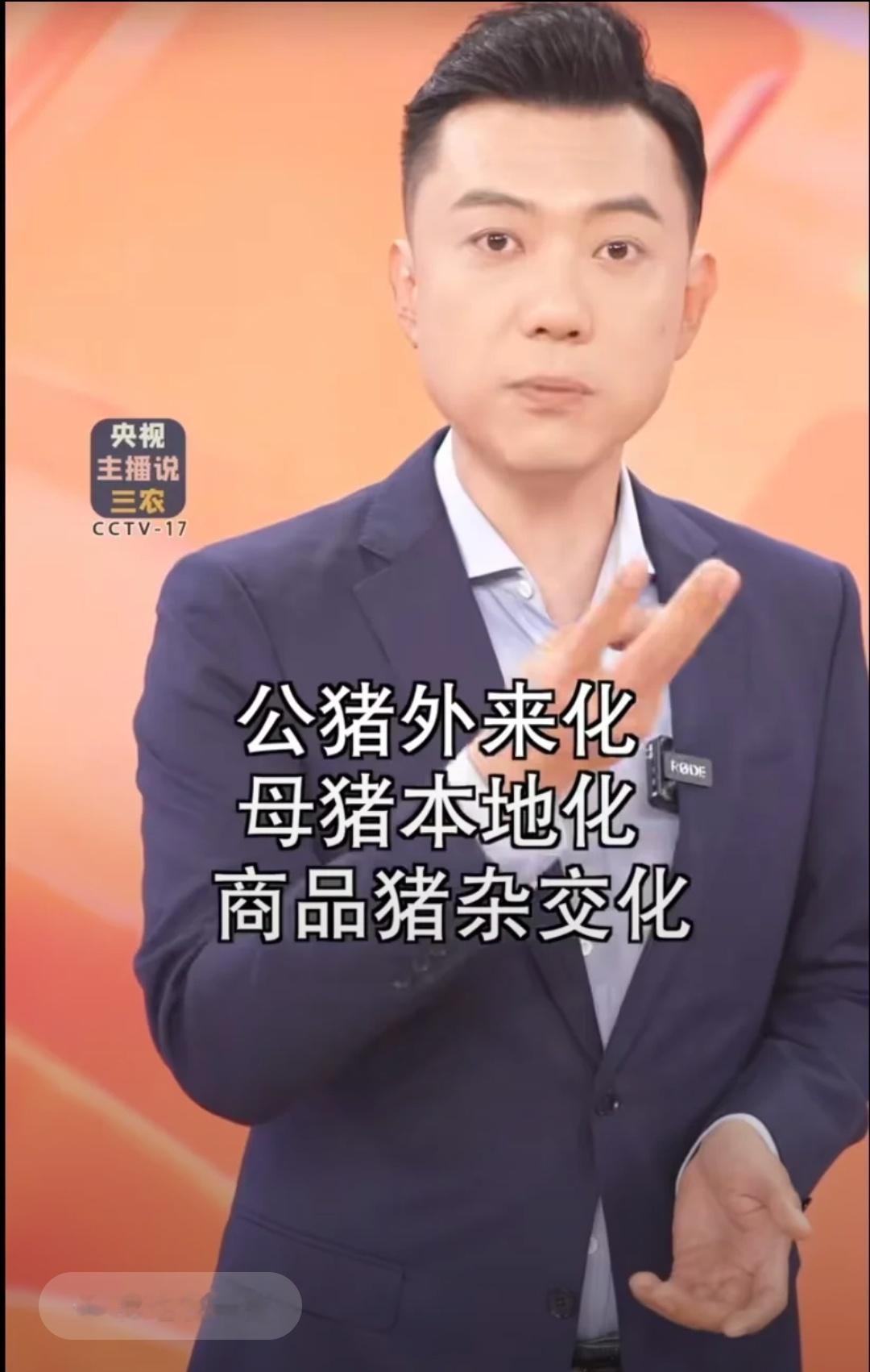 这句话说的是农业致富每天摸鱼打卡