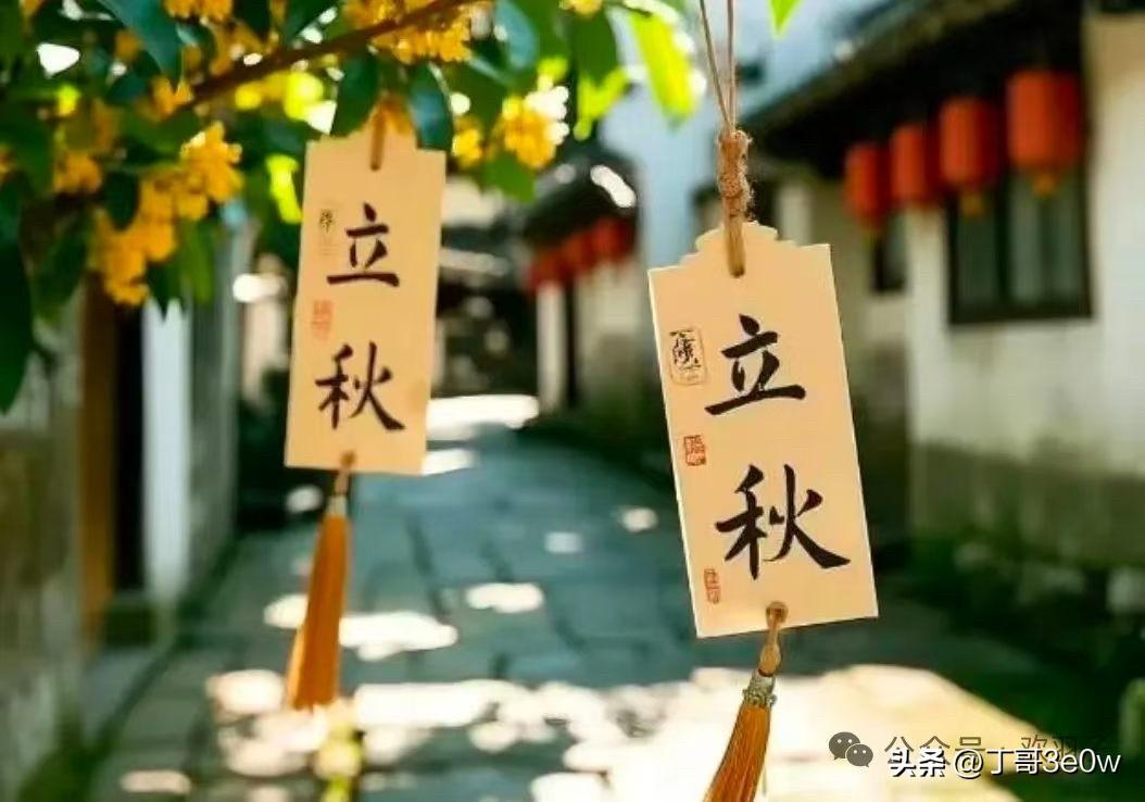 【昨日客流】
8月7日（周五）
武汉城市轨道交通线网客运量（含换乘）为383.8