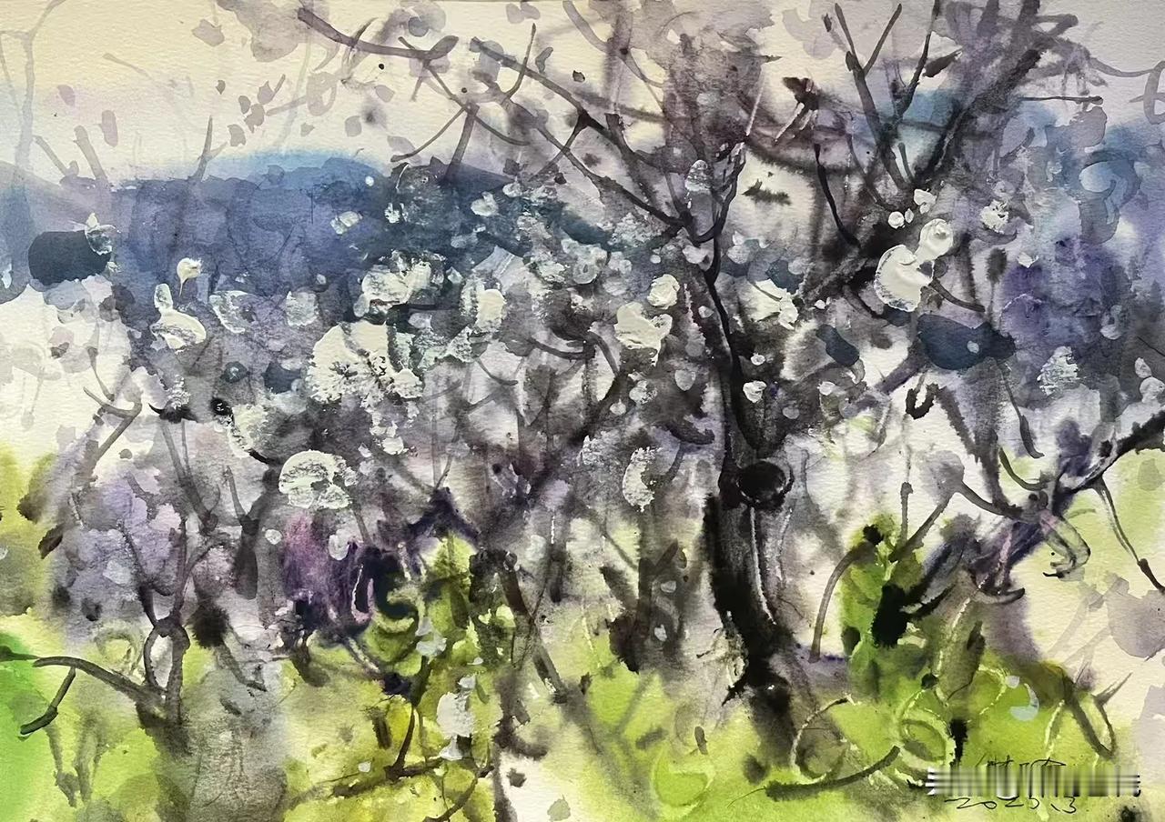 张继渝老师绘画作品欣赏
三月梨花俏 水彩 八开