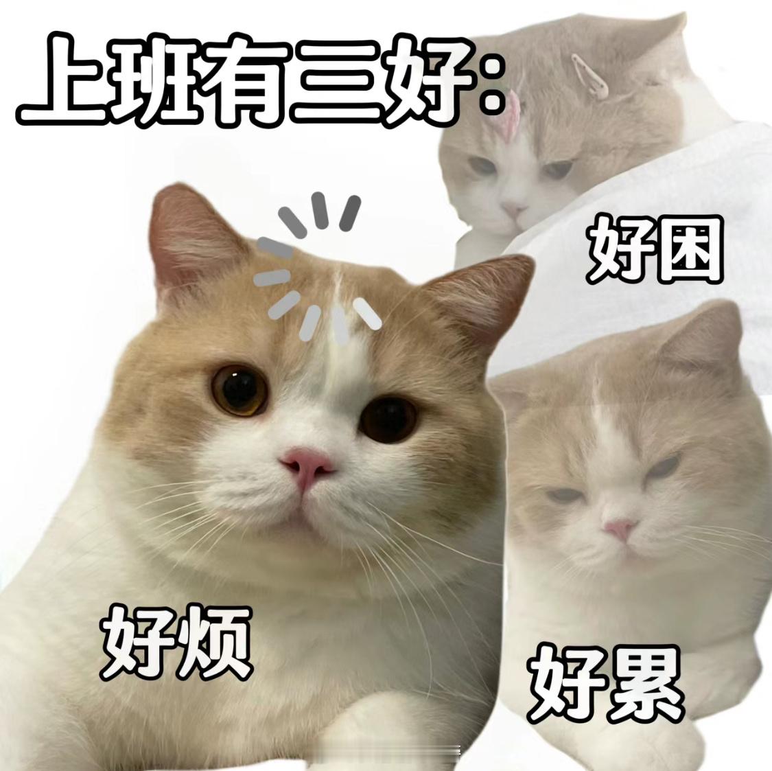 我上班的精神状态 be like [二哈][二哈][二哈] ​​​