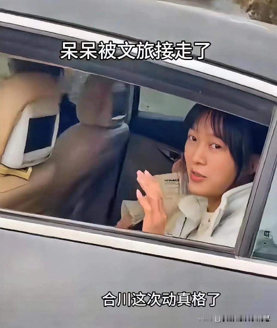 合川把呆呆接走，并不是因为不喜欢他，而是为了保护呆呆，这个金牌讲解员适合做大场面